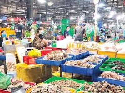 Giá Ngó Sen Tại Chợ Và Siêu Thị Tại Bình Dương